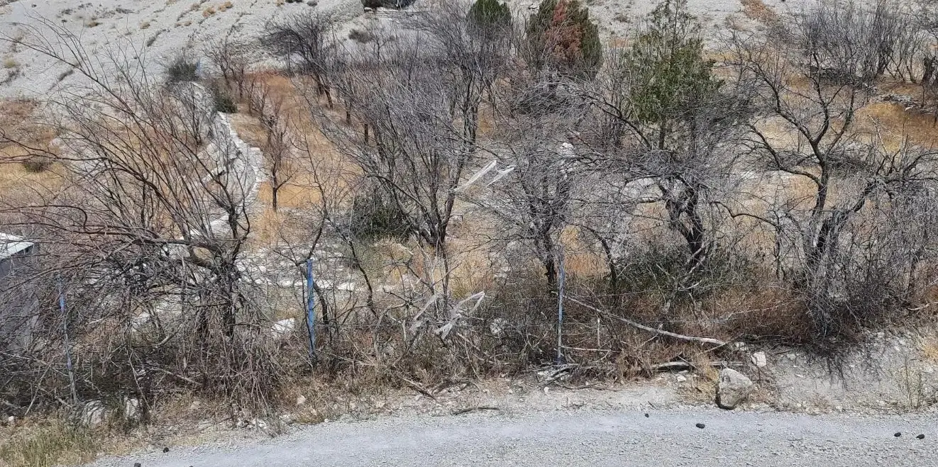 زمین باغی روستای دیزادیز