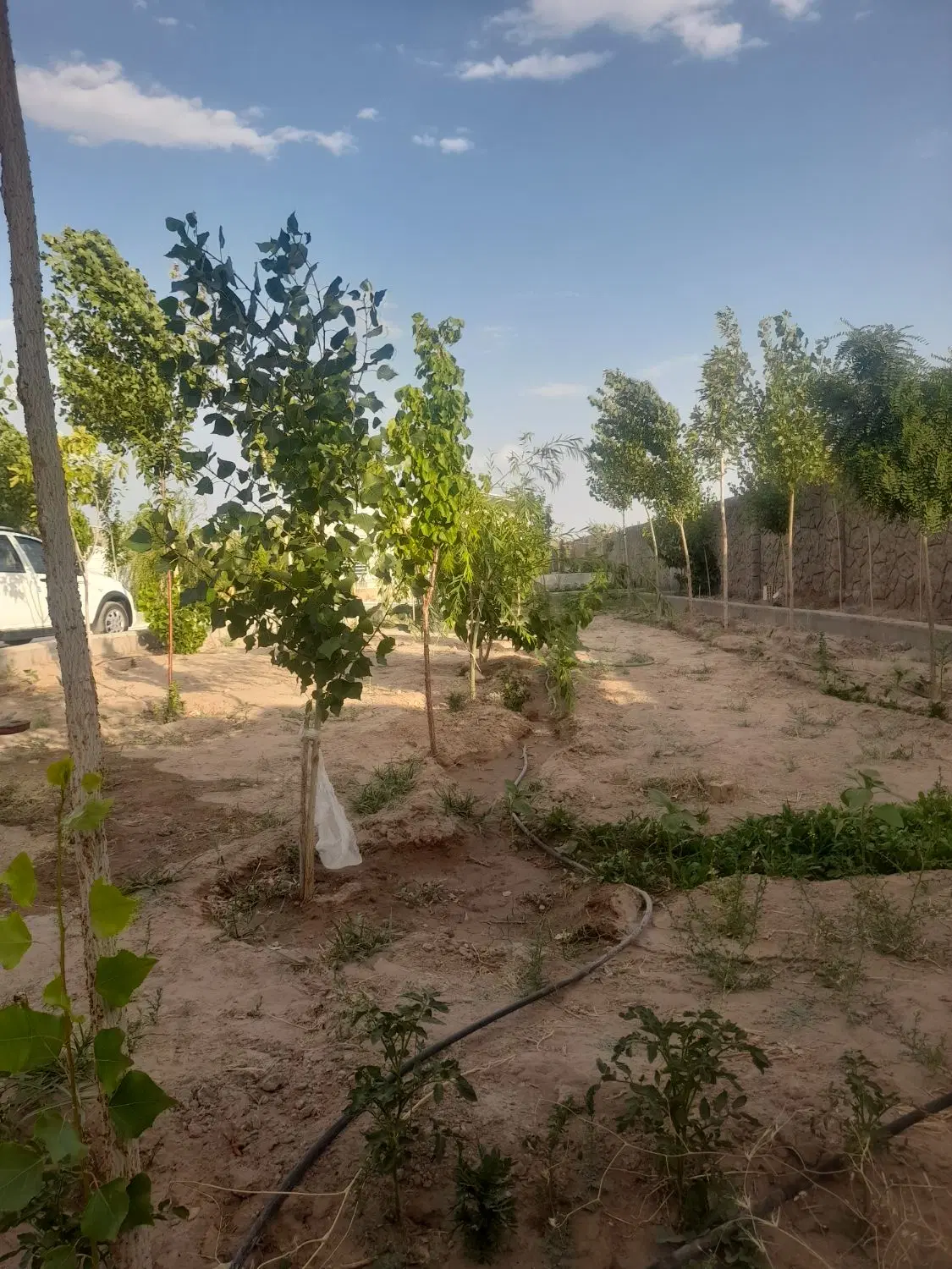 فروش خانه باغ کران