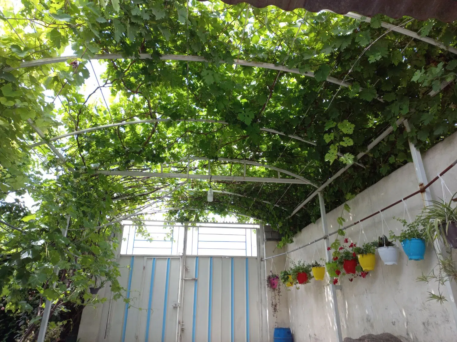 خانه ویلایی روستای هاشم آباد