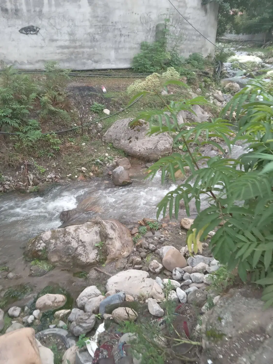 زمین  مناسب برای باغ ویلا و کشاورزی در هاشمی نژاد