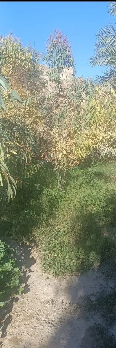 باغ بسیار زیبا در روستا ی پیرگاری