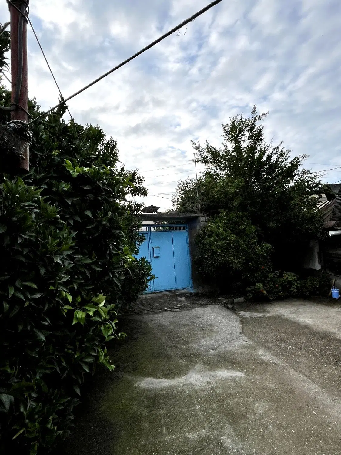 یک خواب دربست