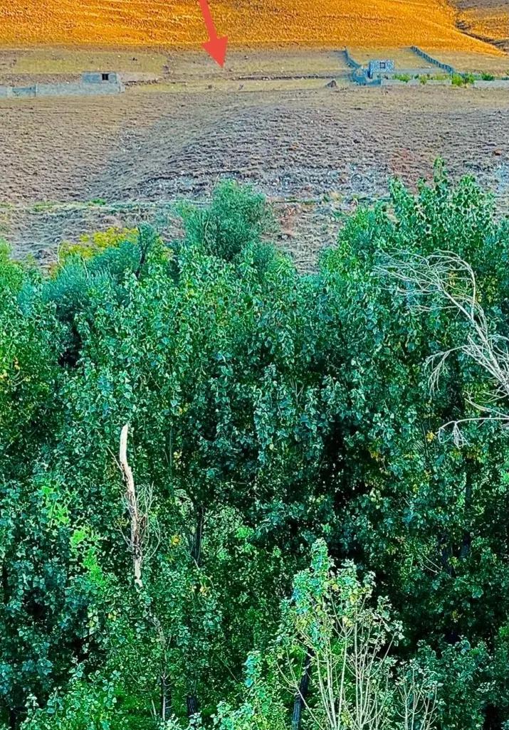 زمین ویلایی در بره بیرق هروی هربی