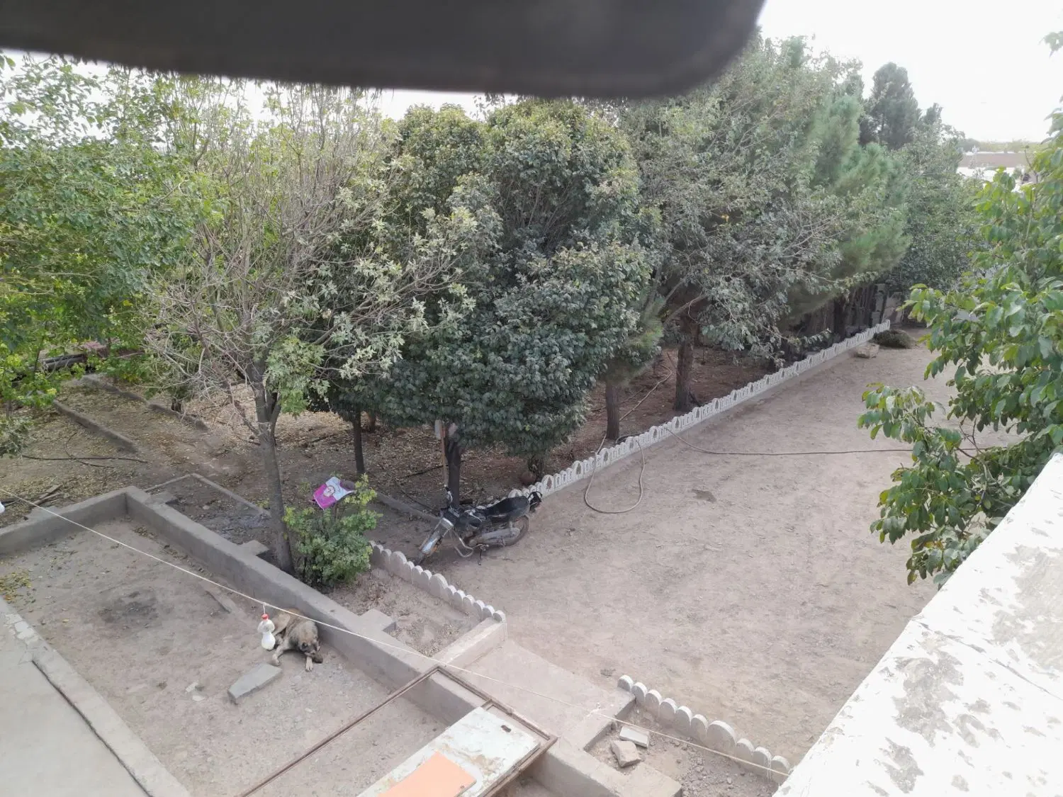 خانه باغ