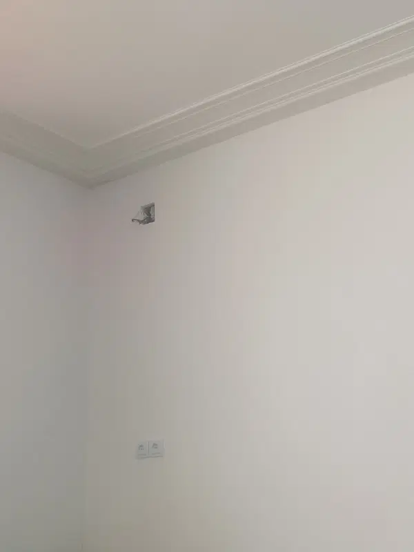 همخانه-همخونه