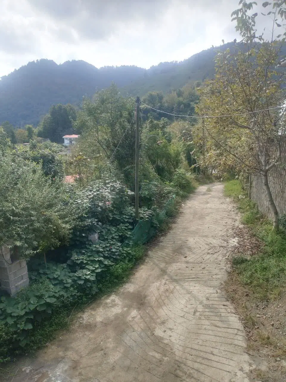 ویلا درهلوسرا