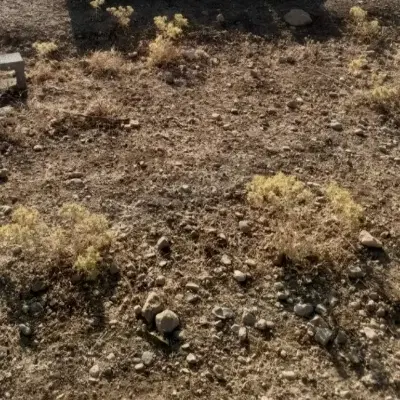 تجاری گوشه شمالی ۶۰ متر