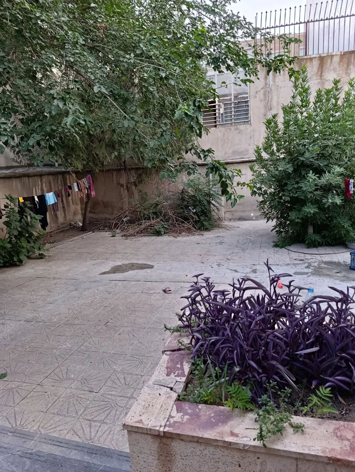 تخت پایین اتاق ۴ نفره، خوابگاه دخترانه