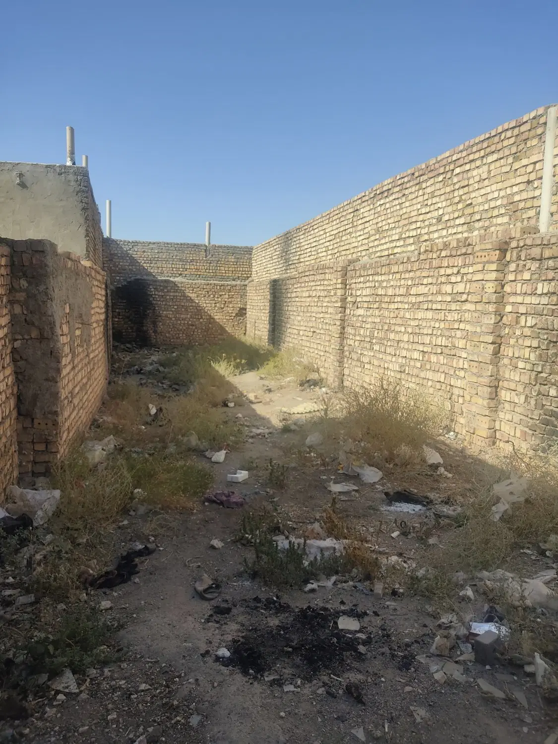 زمین در ابراهیمی