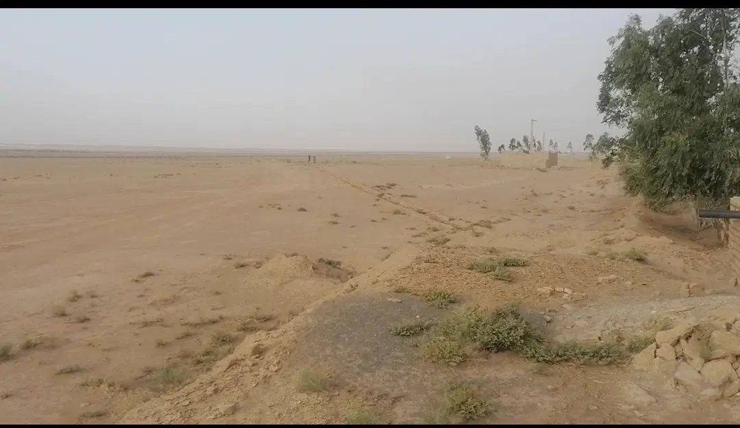 زمین زراعی باغی