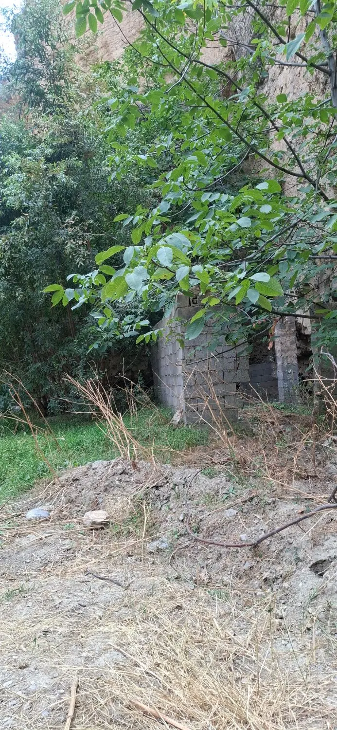 فروش باغ در دره قلجق
