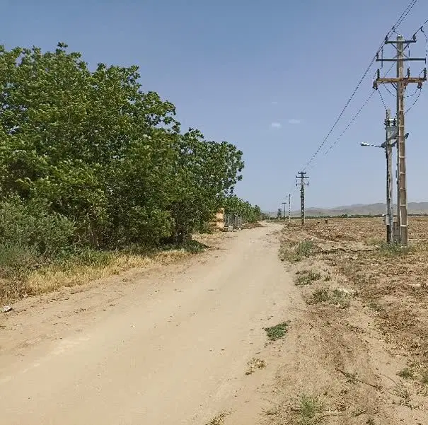 زمین کشاورزی همراه آب در قنوات