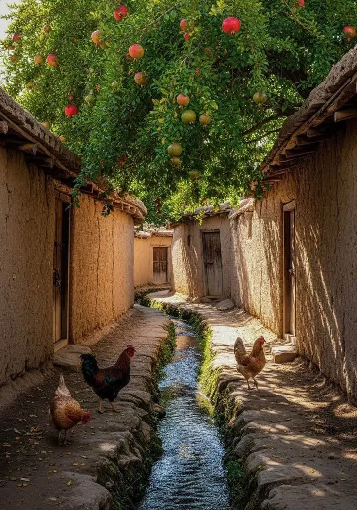 زمین باغی درجزین
