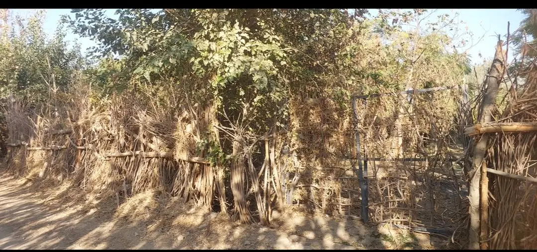 زمین باغچه