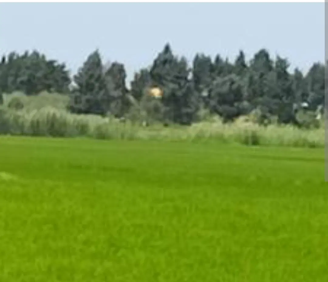فروش زمین