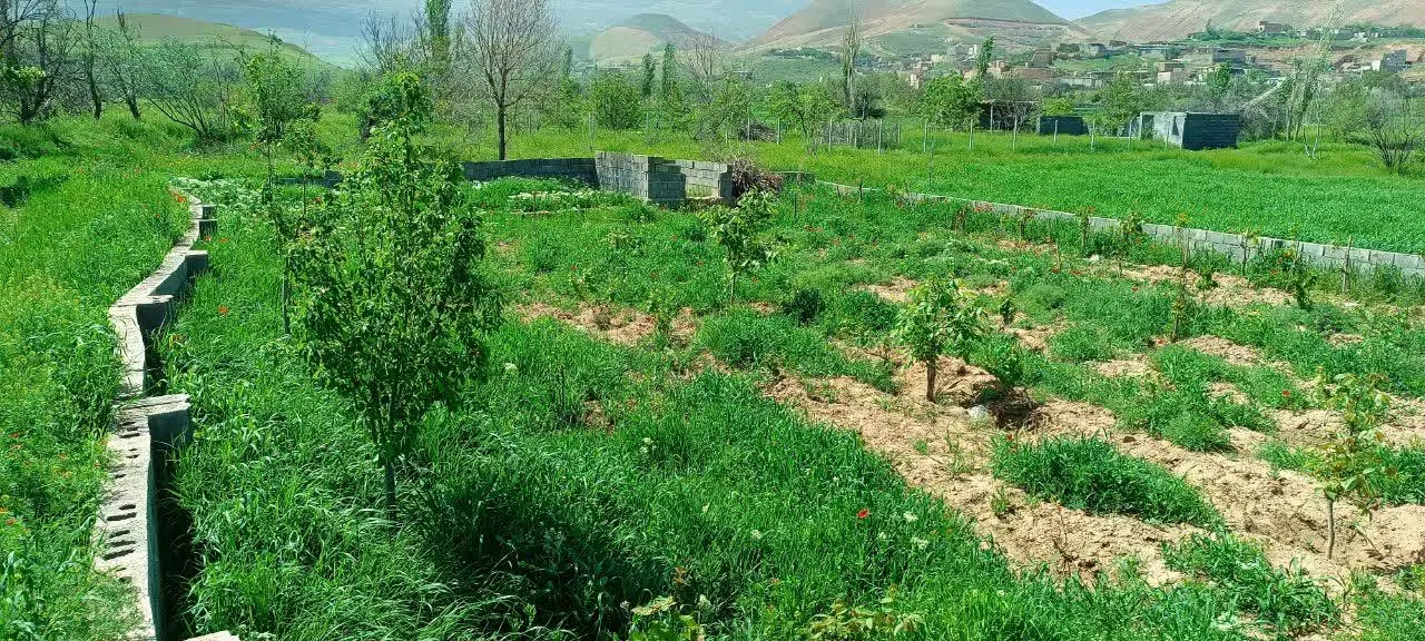 باغ در روستای حمید