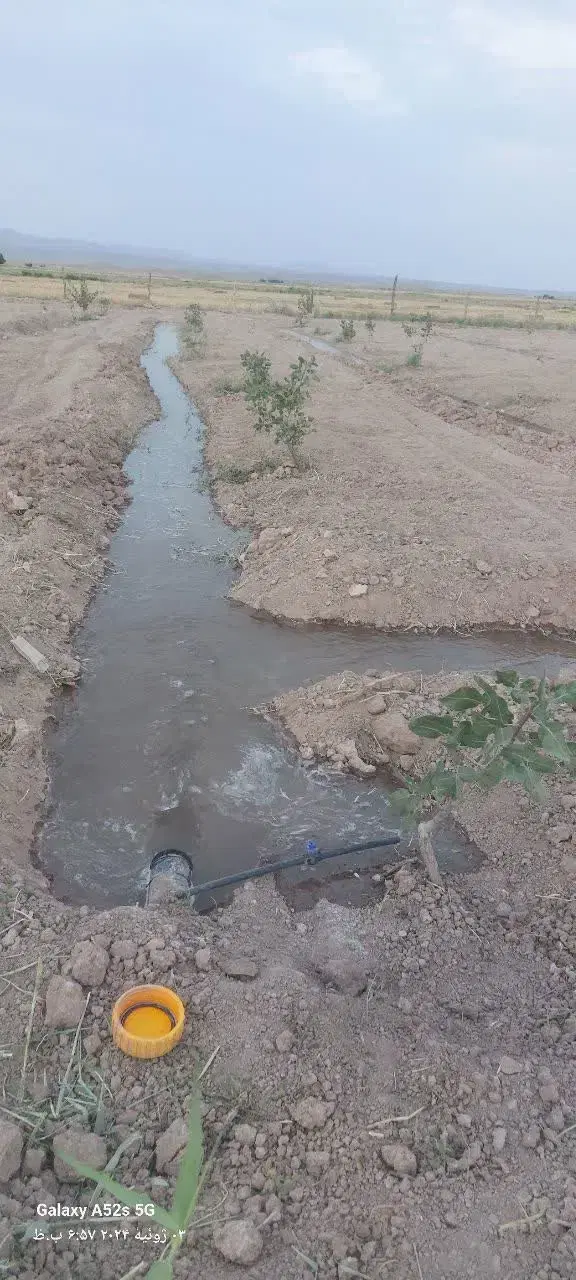 باغ پسته چناران
