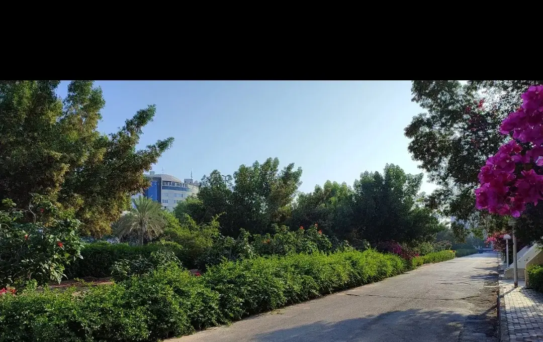 فروش واحد یک خواب فاز جی _ بسیار شیک