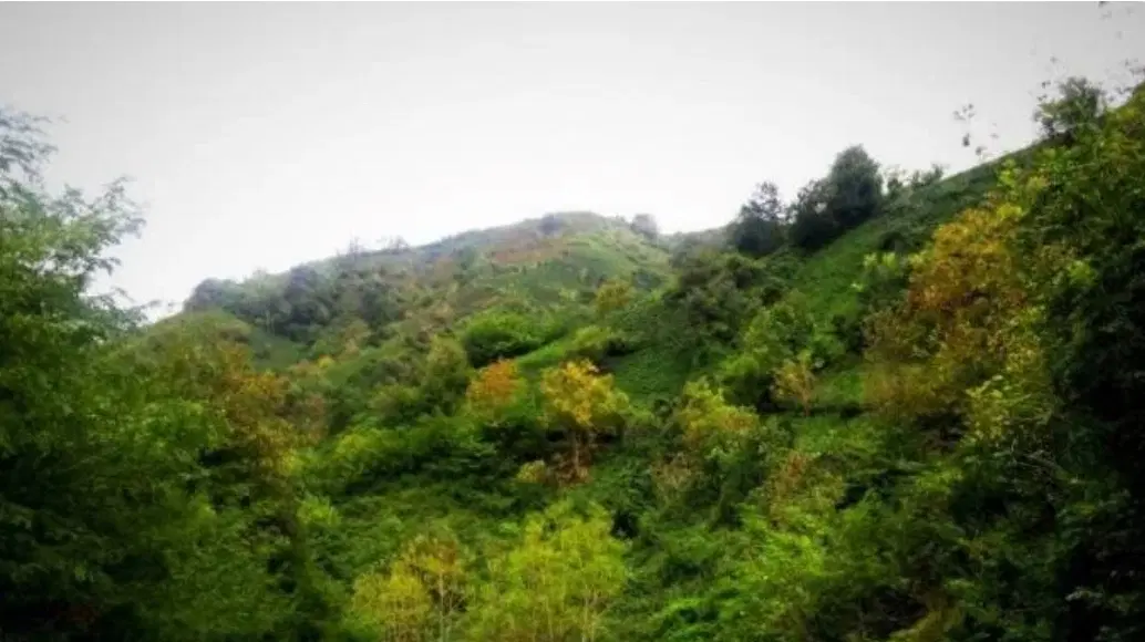فروش ملک قدیمی در لیلا کوه