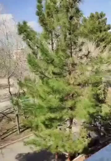 ۸۵ متری دو‌خوابه ب ۵ ، اتوبوسی