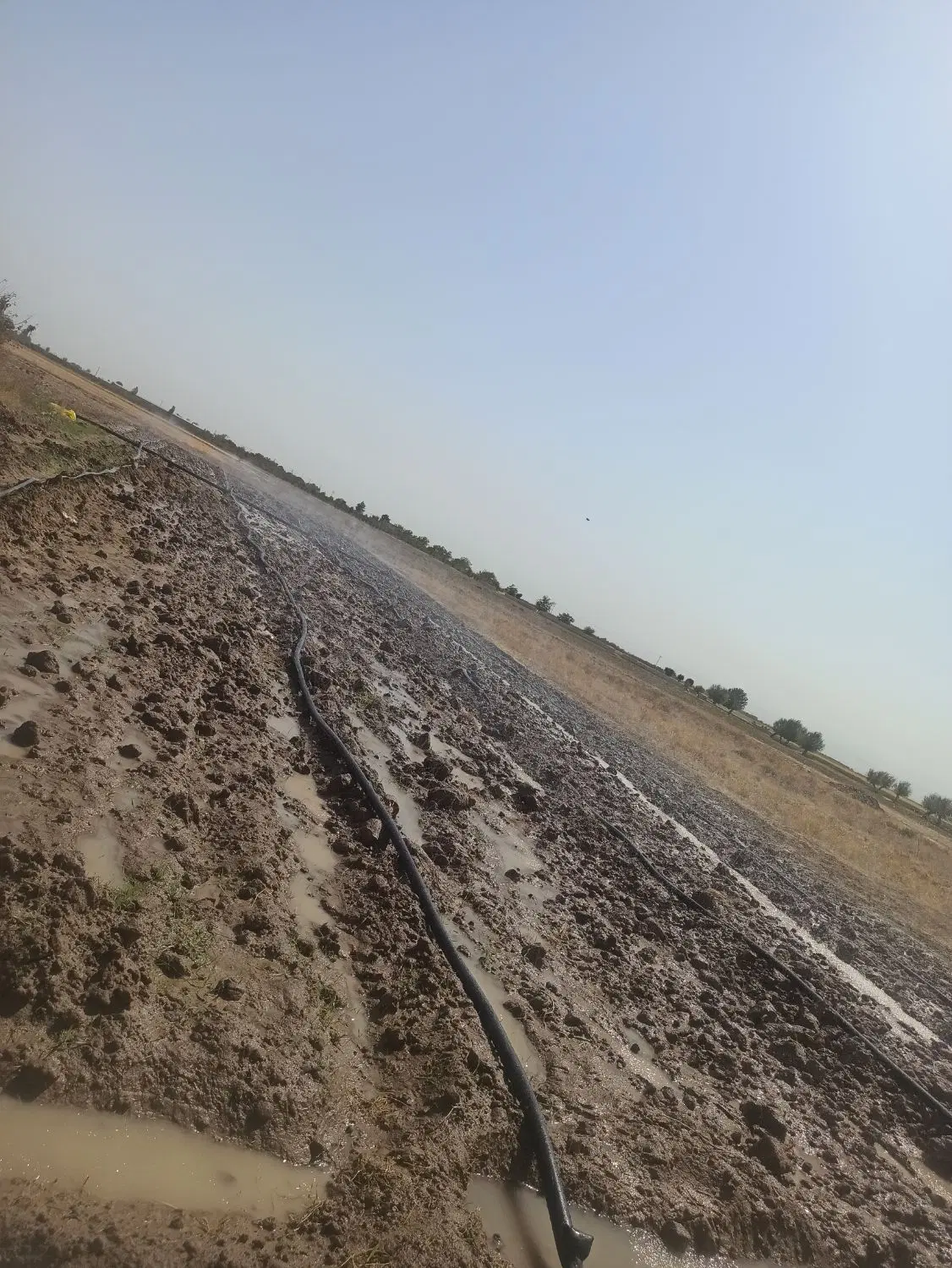 ۴۰۰۰مترزمین ملکی باآب چاه عمیق