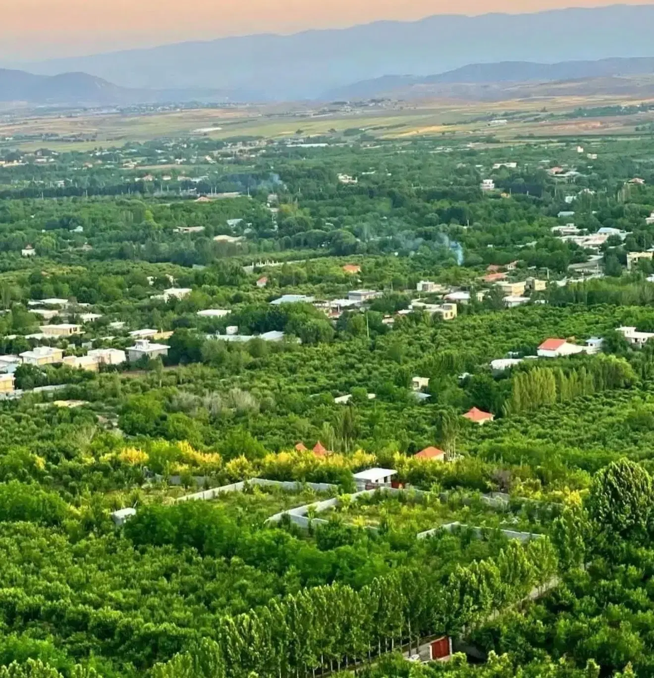 باغشهر دالین