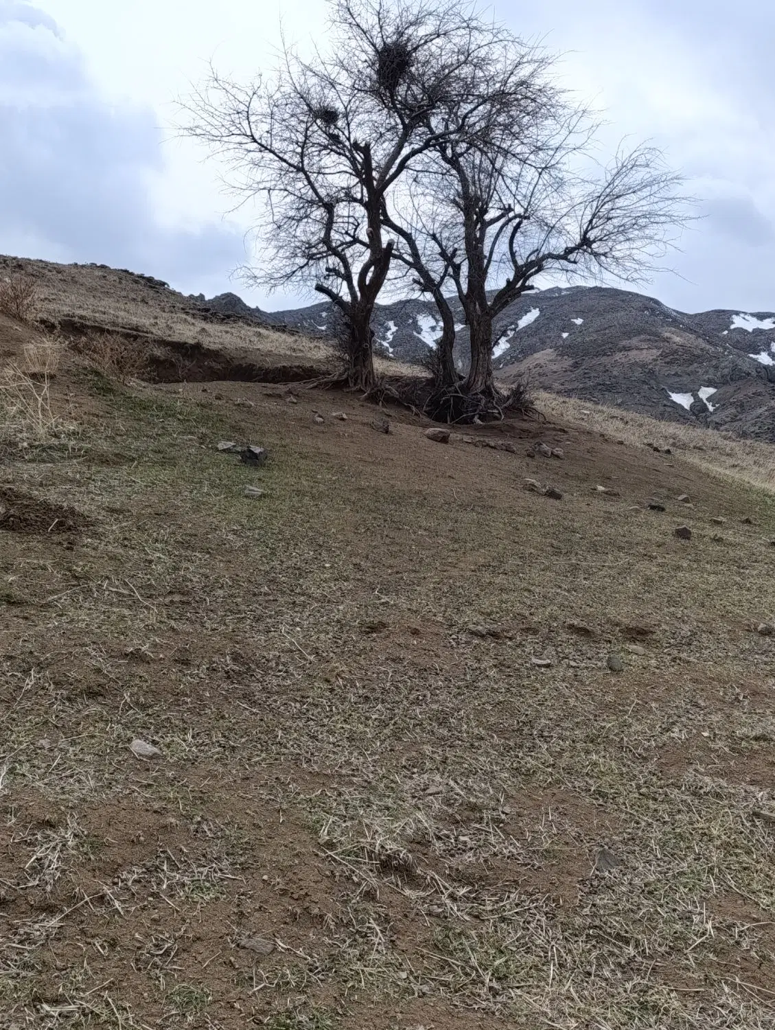 مشارکت ساخت زمین۳۵۰متردرخیابان ایثارکوچه ایثار ۱