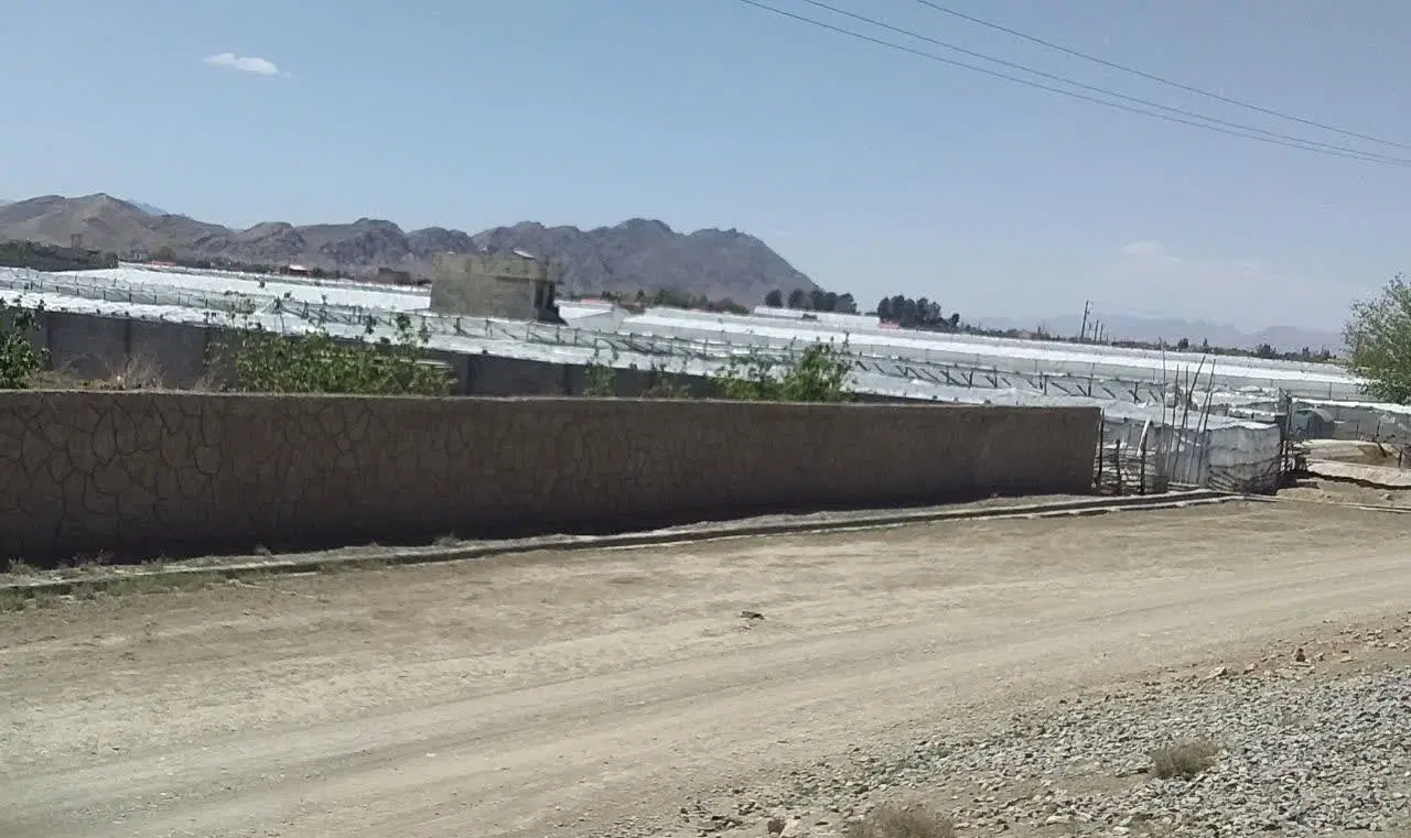 باغ و باغ ویلا نزدیک شهر اصفهان