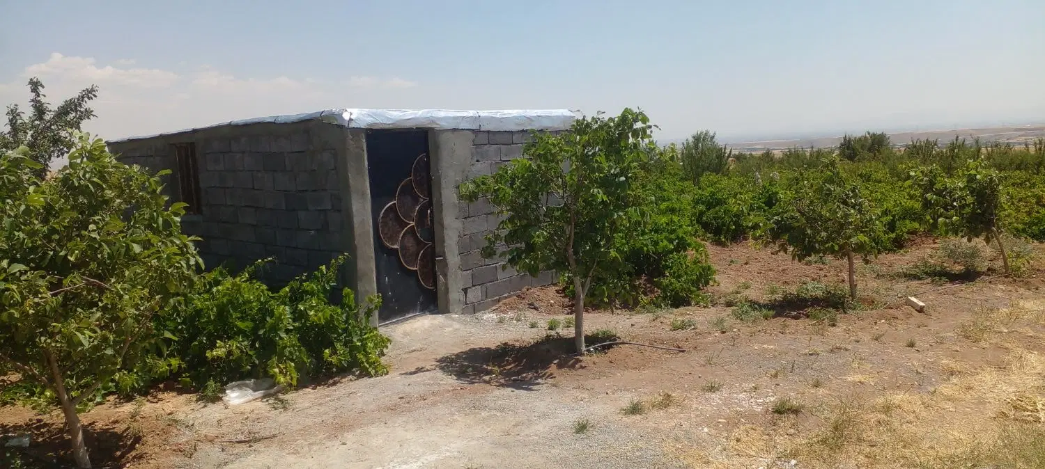 فروش باغ انگور  و میوه در روستای اختاچی
