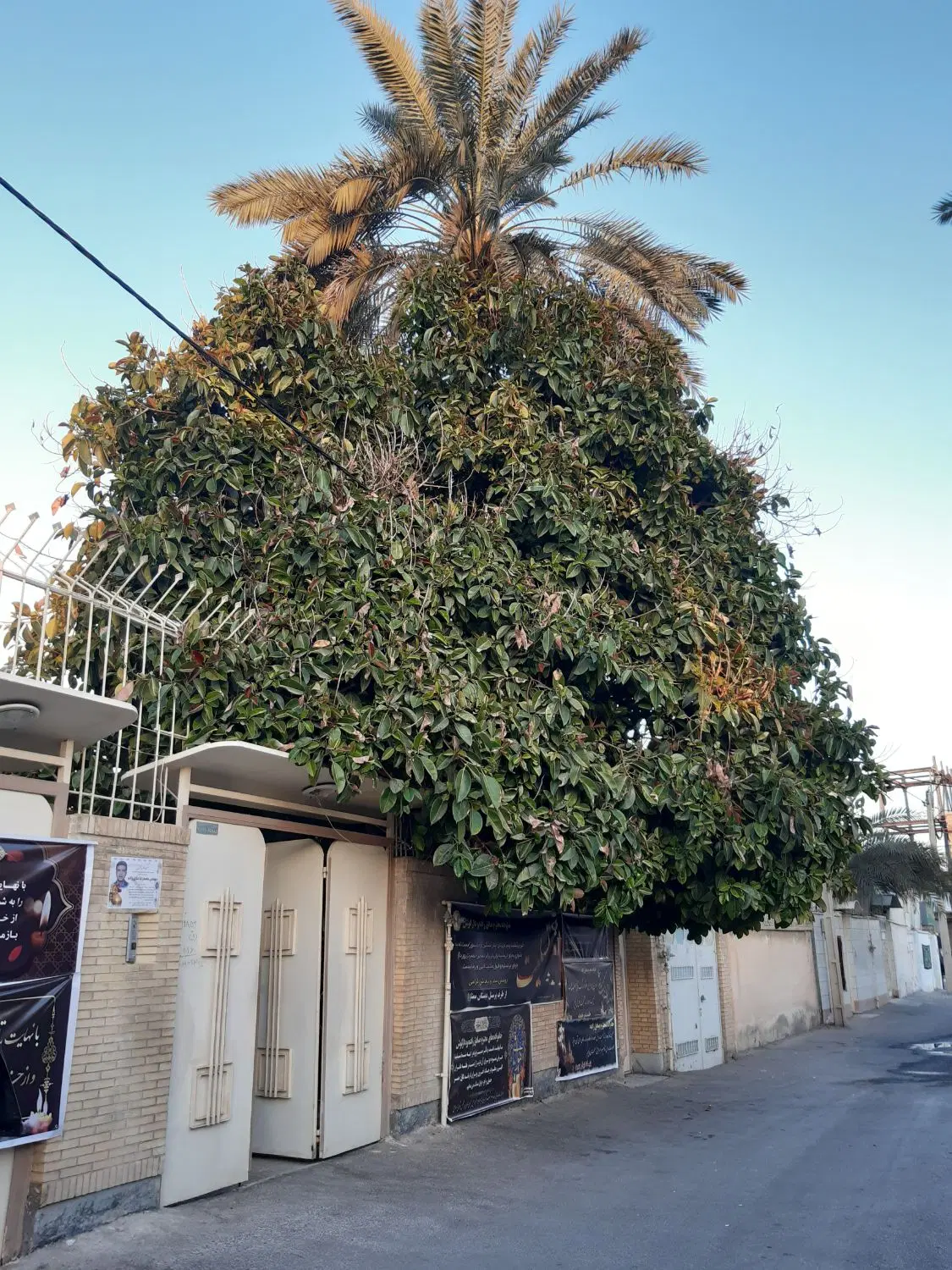 فروش منزل ویلایی