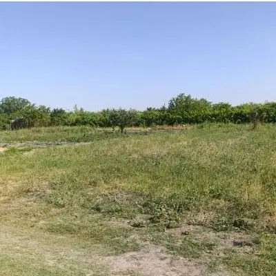 زمین کشاورزی