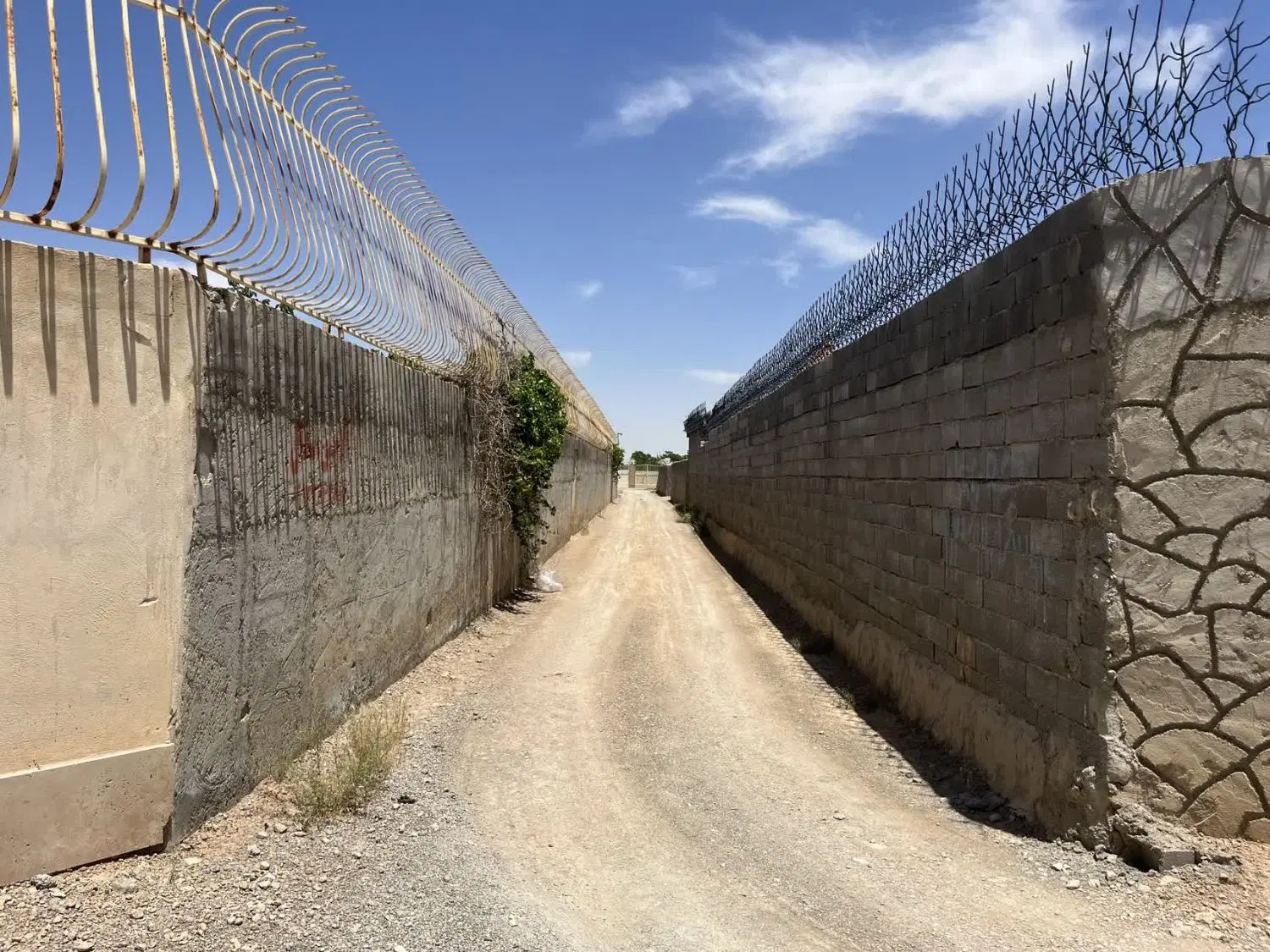 باغ کبوتر آباد