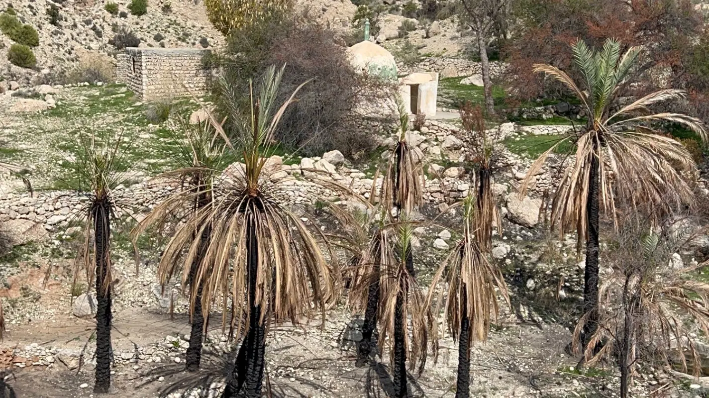 فروش زمین سیاهو تلگردو