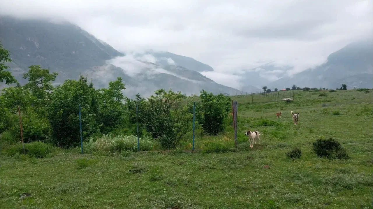 یک قواره زمین باغ ویلایی ۱۰۰۰ متری در زیارت گرگان