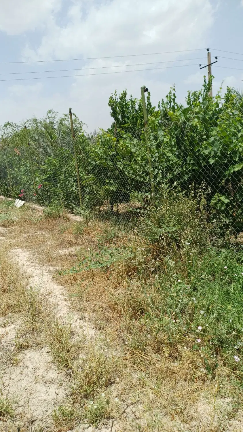 زمین باغ ویلا گلالک