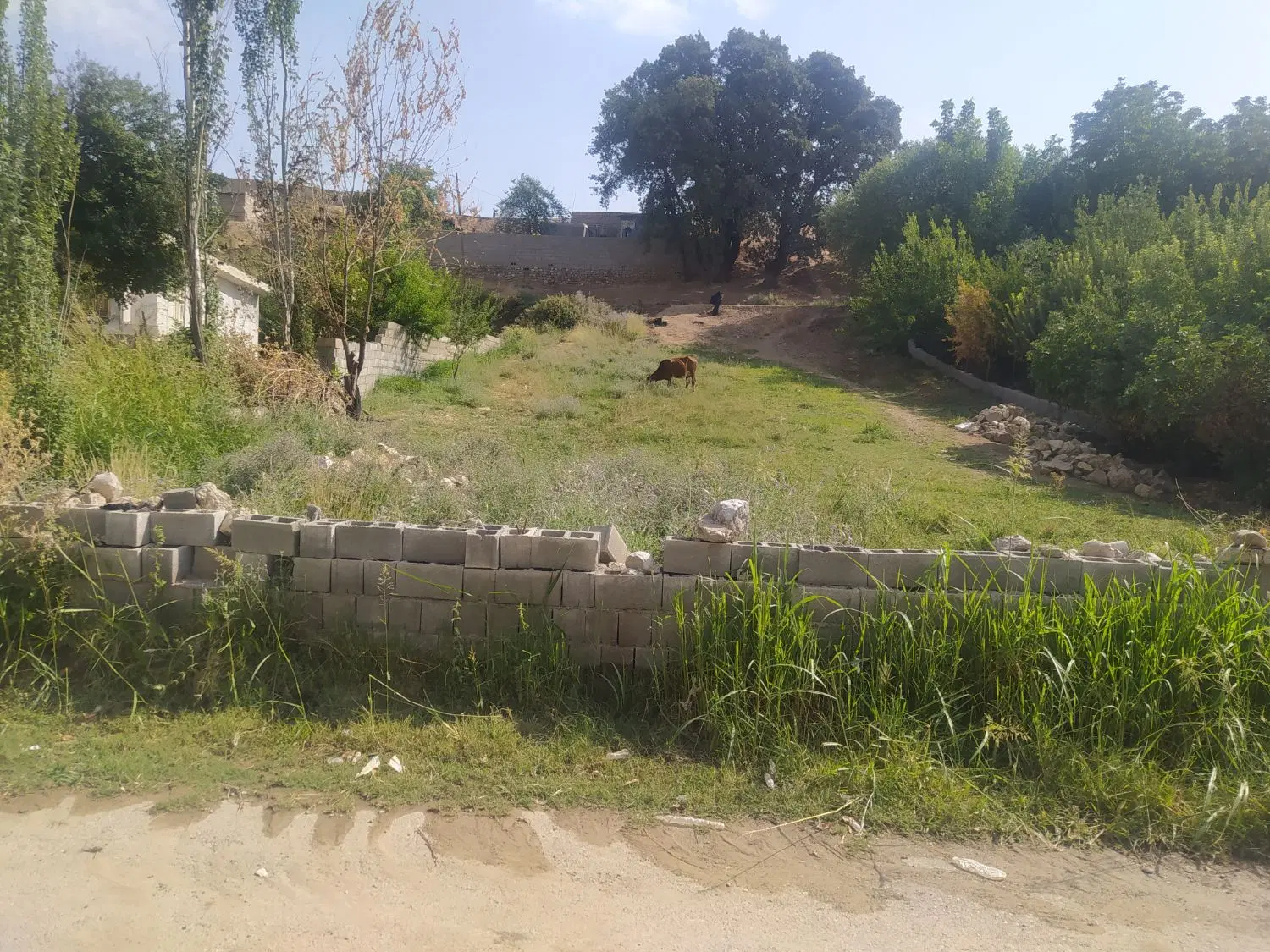 یک قطعه زمین