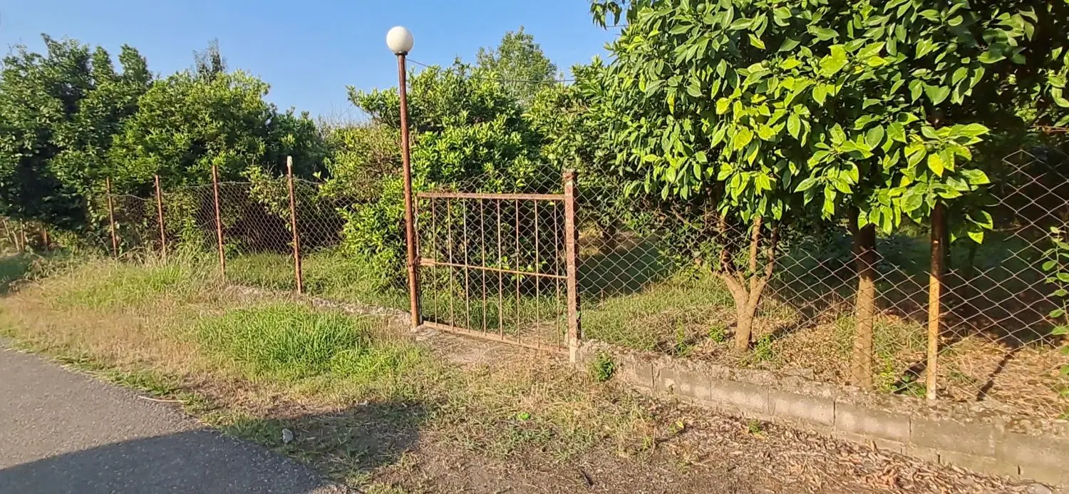 باغ ۶۰۰م داخل بافت ساروکلا،فروش یکجا یا ۲ قطعه
