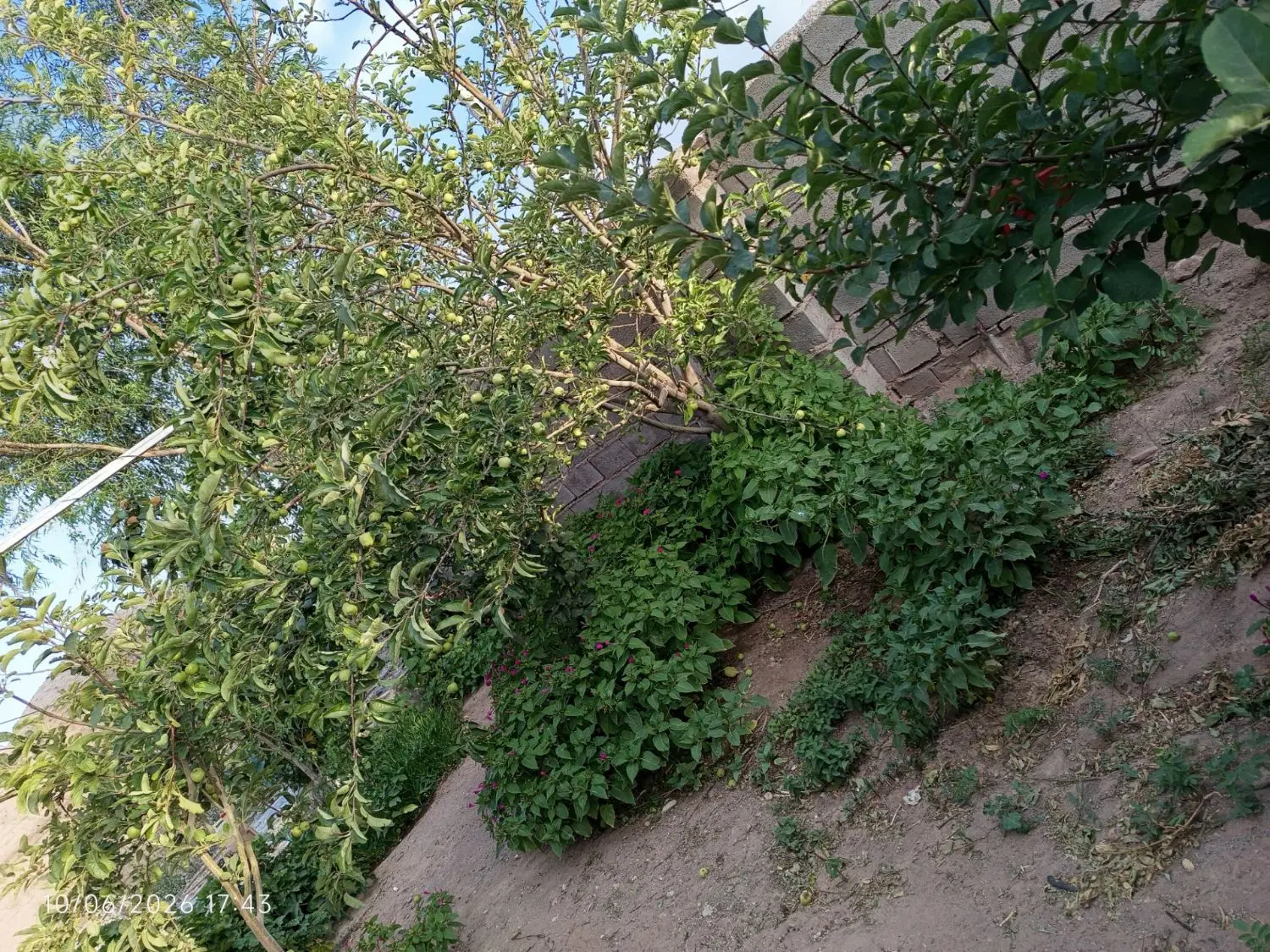 منزل مسکونی  ویلایی اجاره داده میشود
