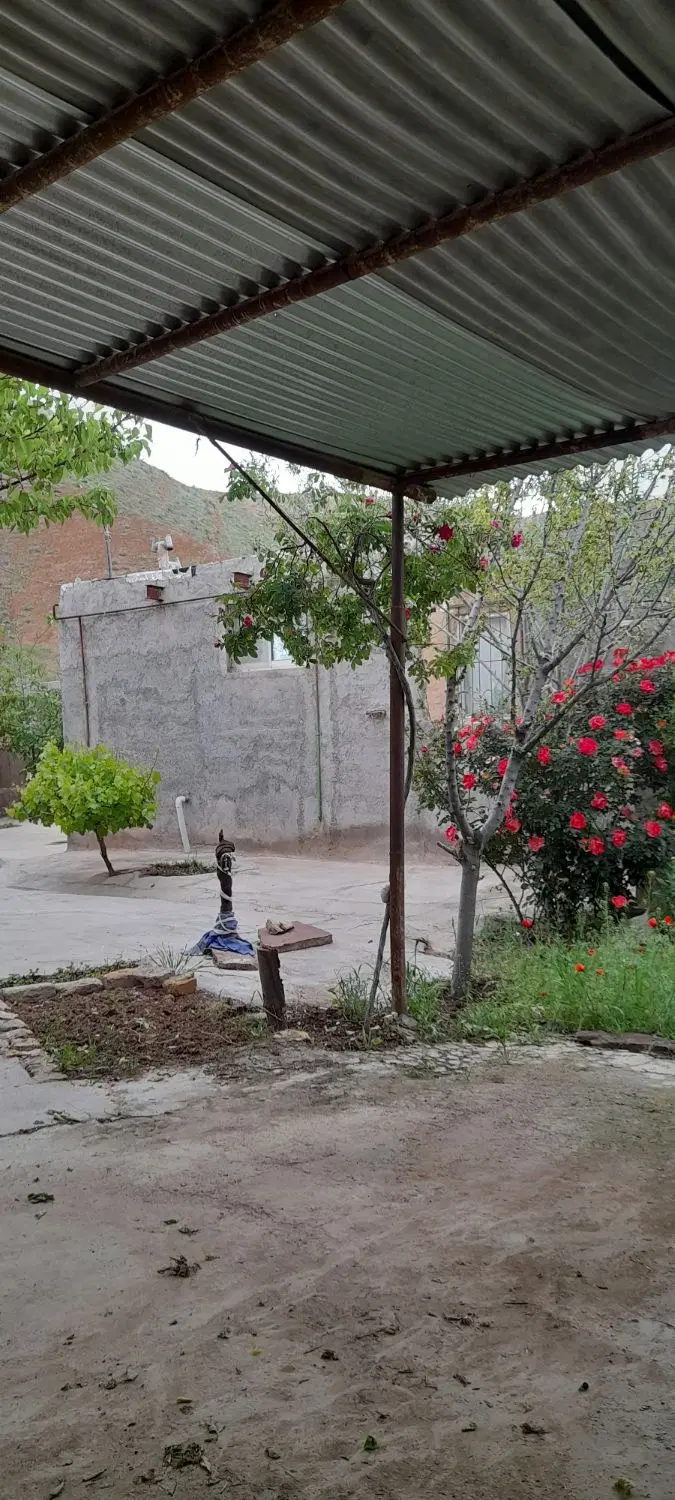 حیاط ویلایی ۳۰۰متری ماشین رو تک برگ سند