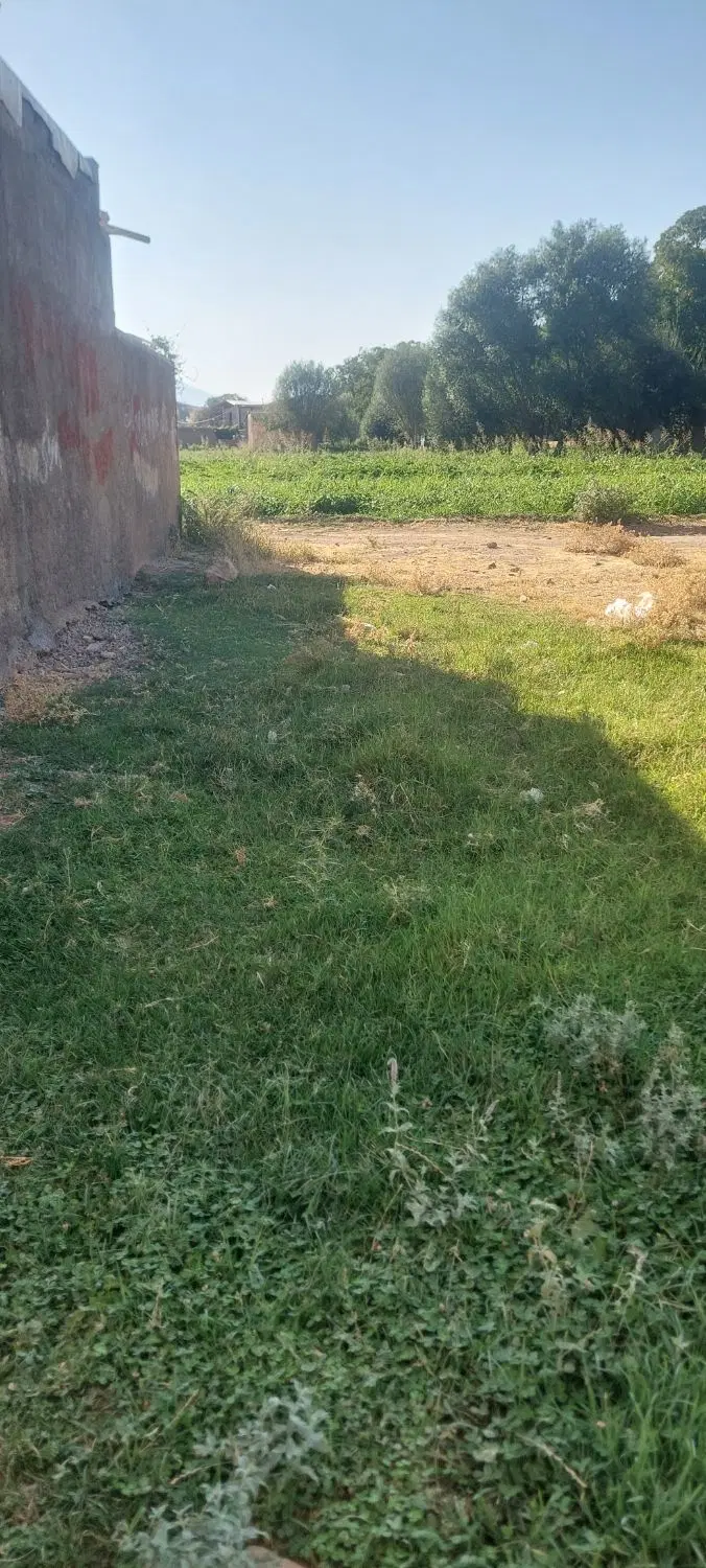 زمین گلریز ۱۷ قیمت خوب