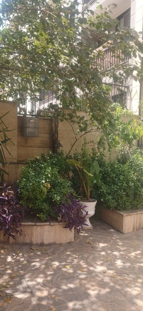 نبی ئیان .تخلیه.فوری