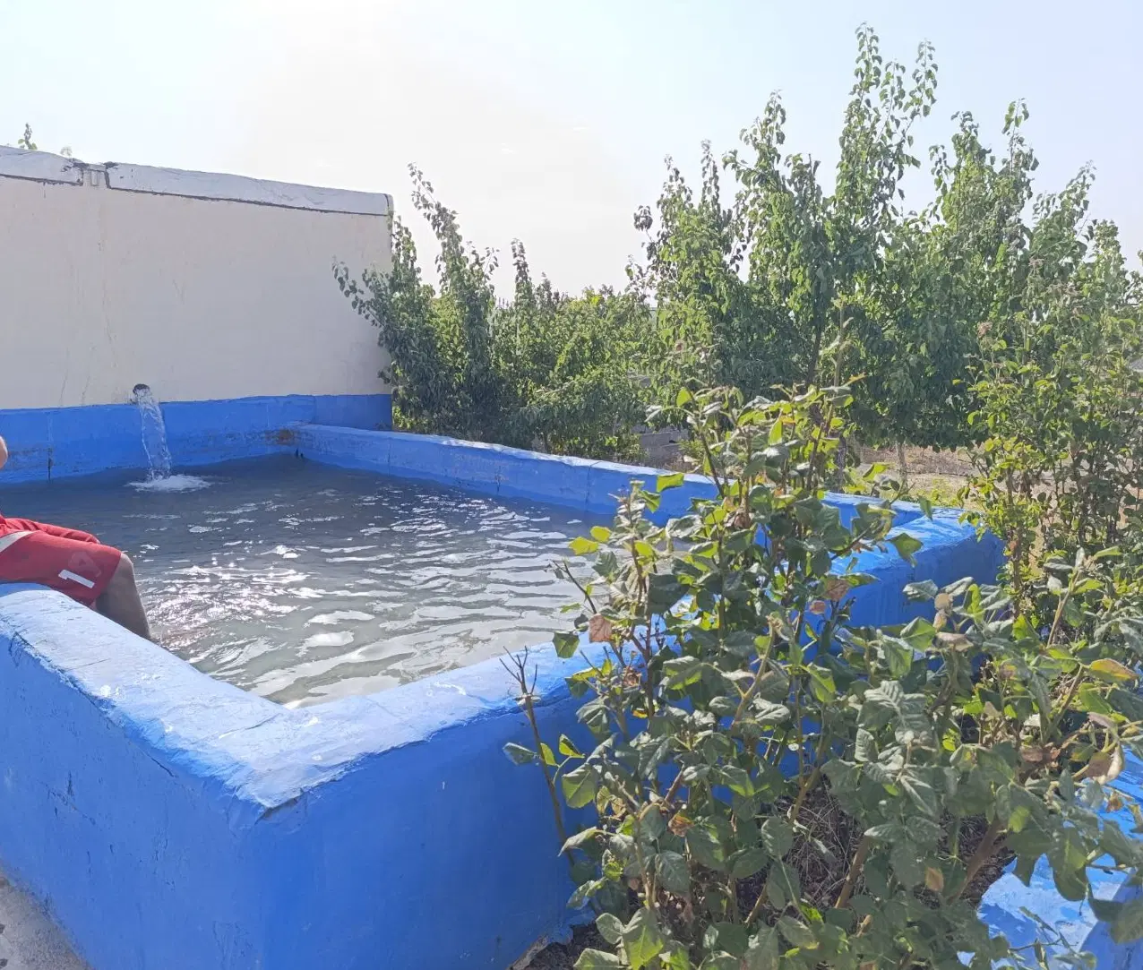 باغ ۱۰۰۰ متری