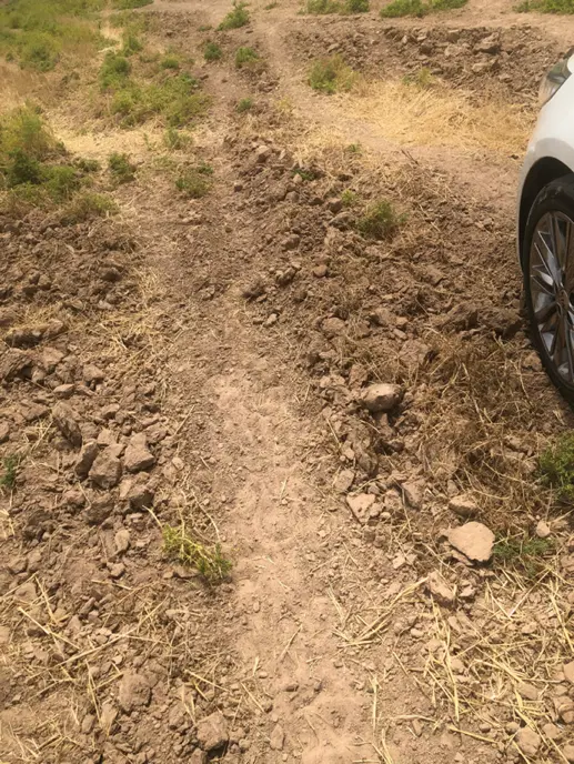 زمین مختلط تجاری مسکونی