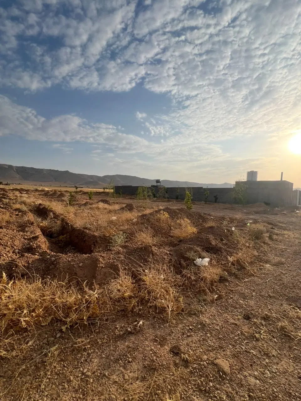 زمین باغ