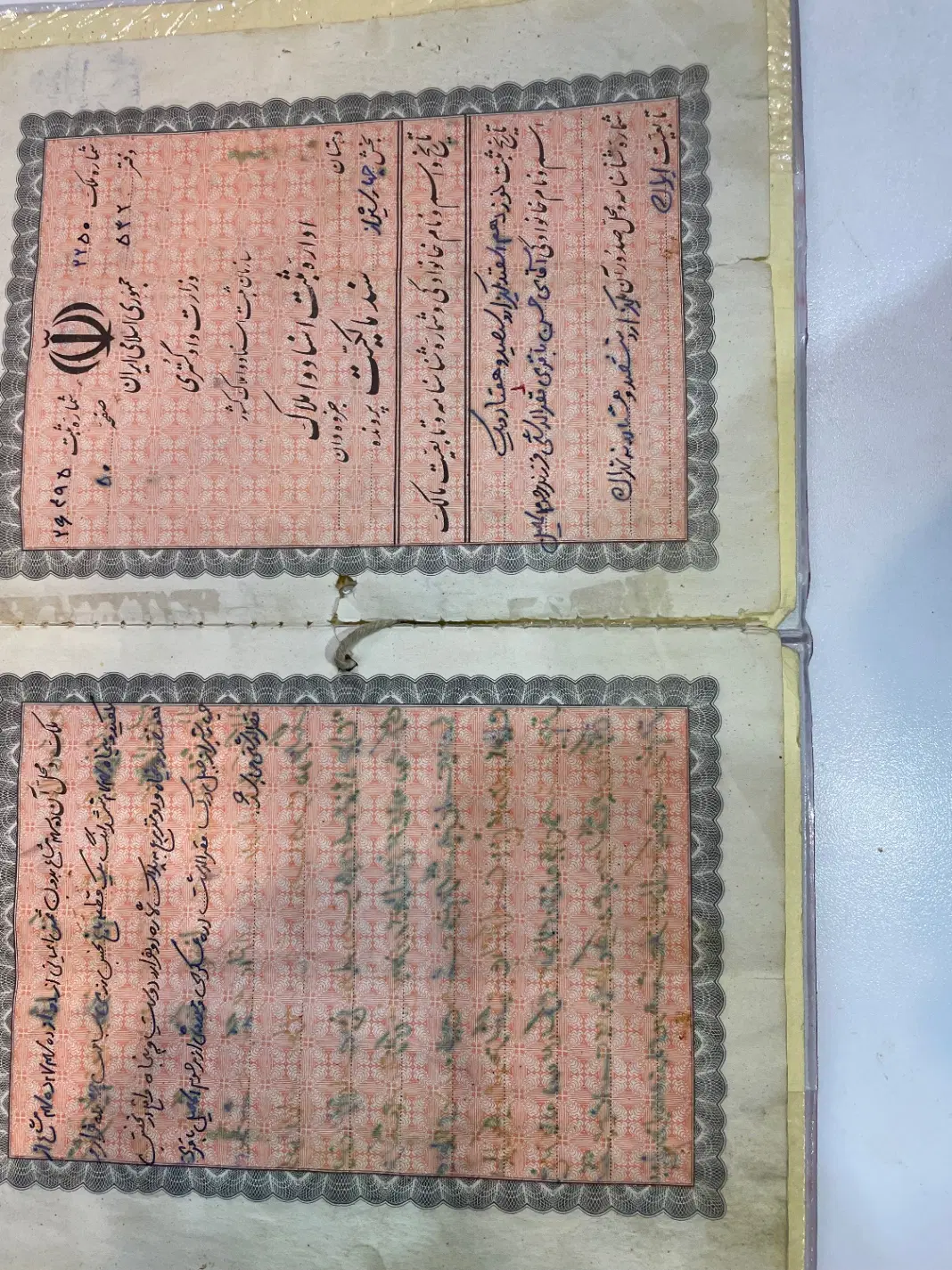 زمین کمربندی فرهنگ شهر
