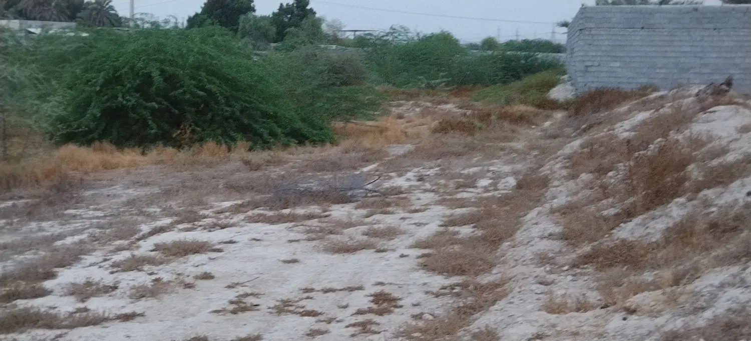 زمین  سندار 670