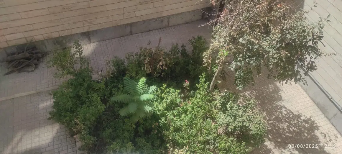 اجاره ویلایی دربست احمداباد