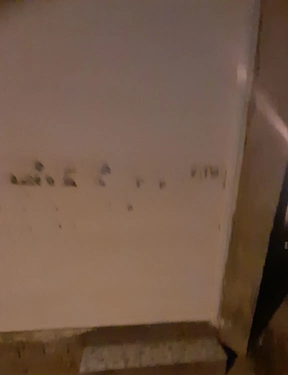 مغازه