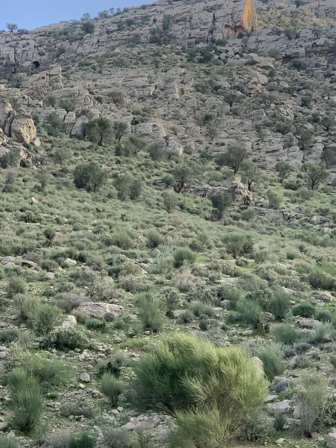 فروش زمین کارگاهی