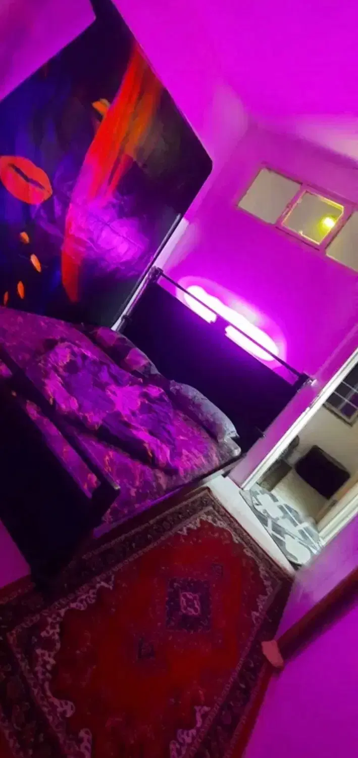 همخونه خانم هستم